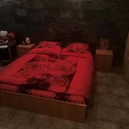 Vila Barrandov براغ المظهر الخارجي الصورة