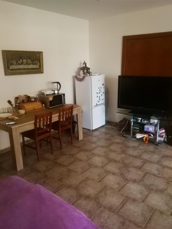 Vila Barrandov براغ المظهر الخارجي الصورة