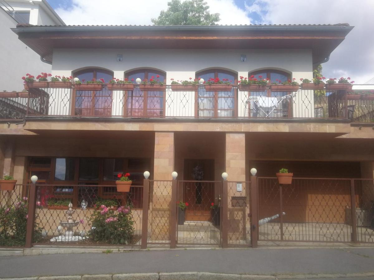 Vila Barrandov براغ المظهر الخارجي الصورة